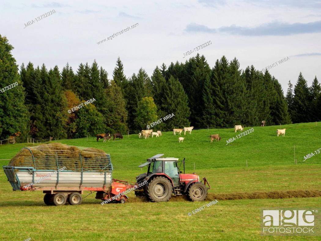 Photo de stock: Tractor, Steingaden, Allgäu, Bavaria, Germany.