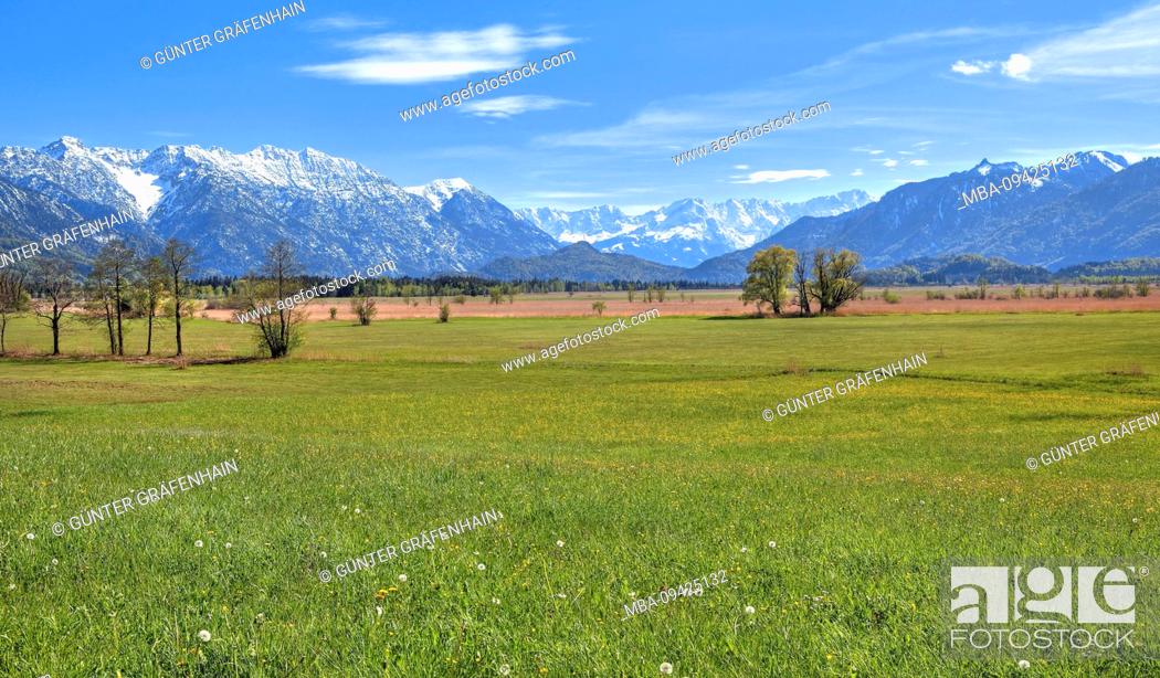 Stock Photo: Landscape in the Murnauer Moos against Hohe Kisten 1922m in the Estergebirge Zugspitze Group 2962 in the Wetterstein Mountains and Ammergau Alps near Murnau.