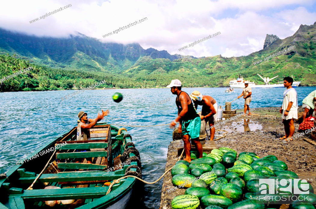 Stock Photo: Loading watermelons for transportation to Tahiti. Freighter and liner Aranui cruise in Hiva-Oa. Marquesas archipelago. French Polynesia.