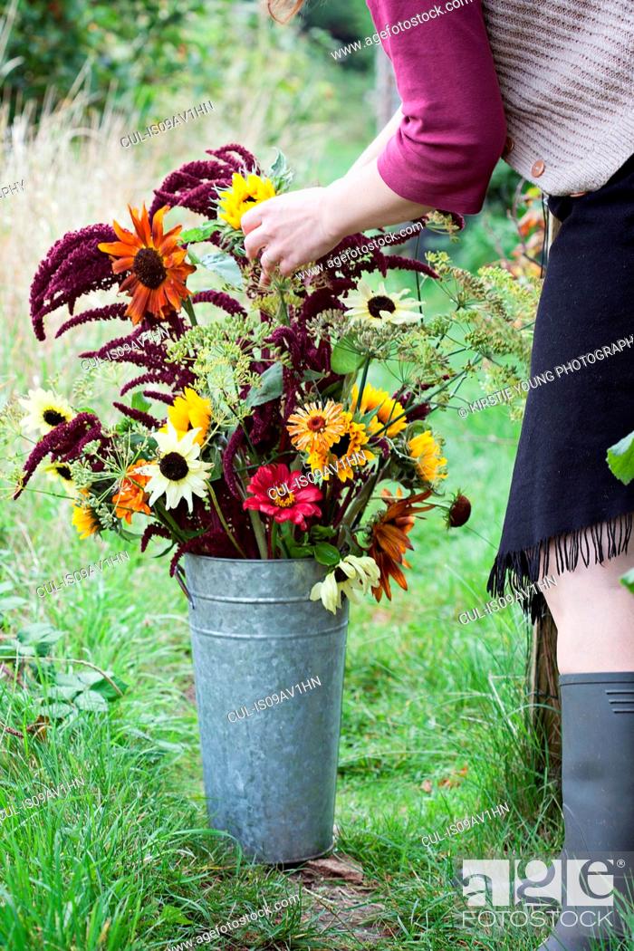 Stock Photo: Cropped view of mature woman arranging flowers in bucket at allotment.
