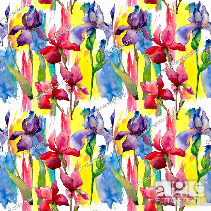 Stock Photo: Wildflower iris flower pattern in a watercolor style. Full name of the plant: iris. Aquarelle wild flower for background, texture, wrapper pattern.