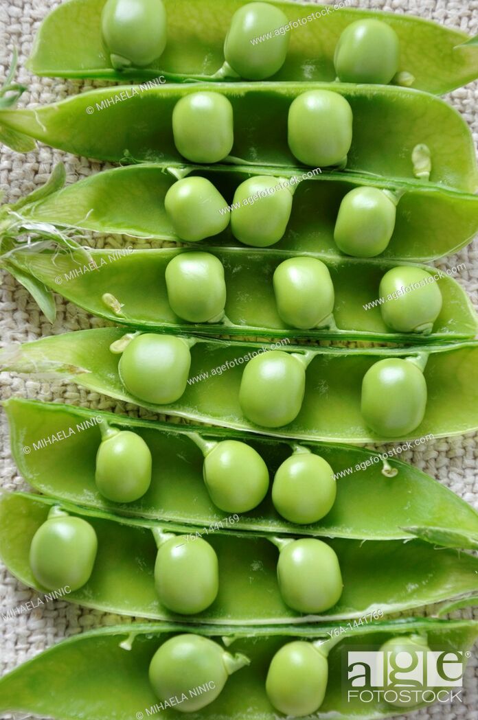 Imagen: Bunch of green peas in open pods.