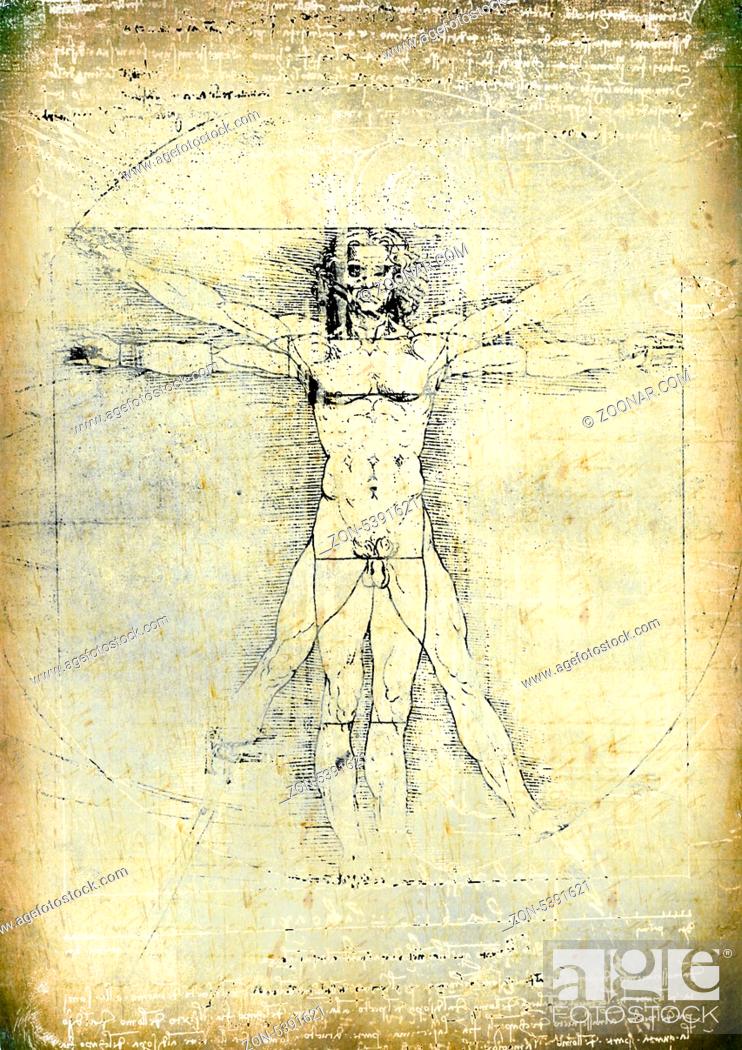 Anatomy art by Leonardo Da Vinci from 1492, Stock Photo, Picture And Rights  Managed Image. Pic. ZON-5391621 | agefotostock