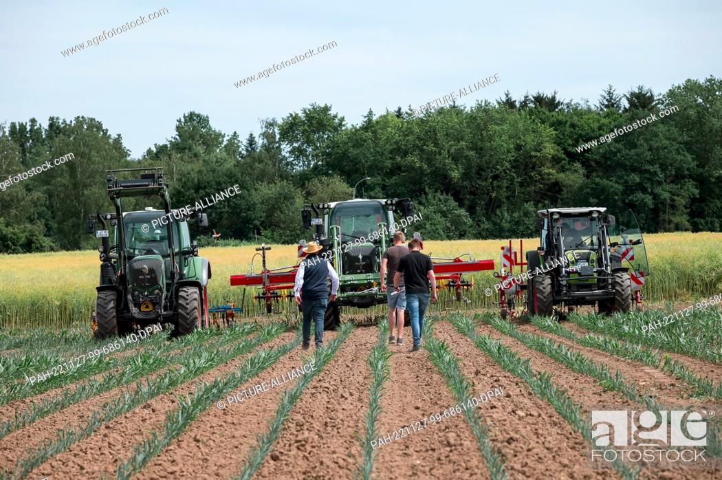 Stock Photo: PRODUCTION - 21 June 2022, Bavaria, Bayreuth: Farmers take to their tractors to drive the agricultural hoeing machines over the cornfield.