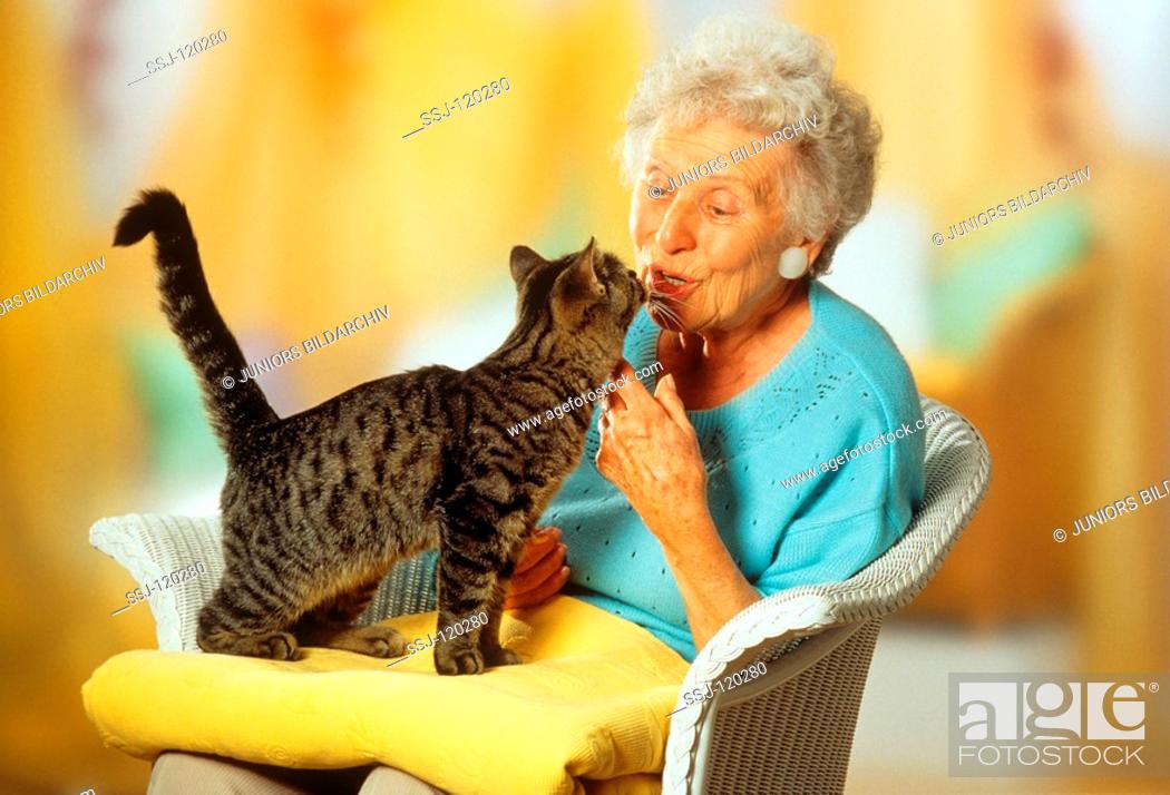 old lady with cat, Stock Photo, Picture And Rights Managed Image. Pic.  SSJ-120280 | agefotostock
