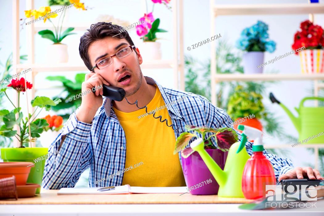 Stock Photo: Gardener florist working in a flower shop with house plants.
