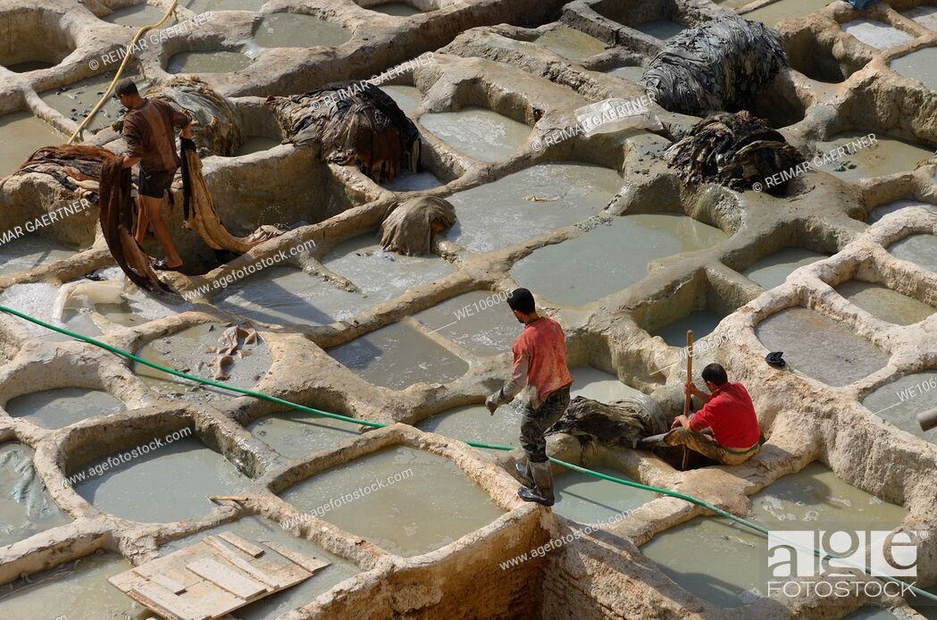 Stock Photo: Workers at wet blue chrome tanning soaking vats at Fes Chouara Tannery Morocco.