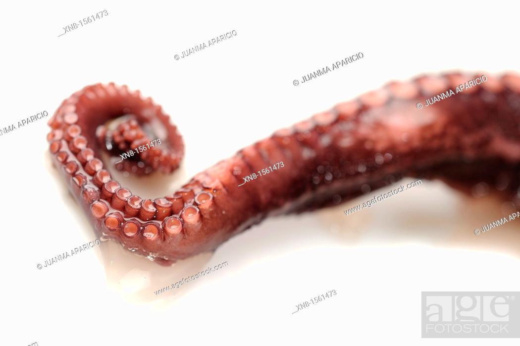 Stock Photo: Boiled octopus tentacles.