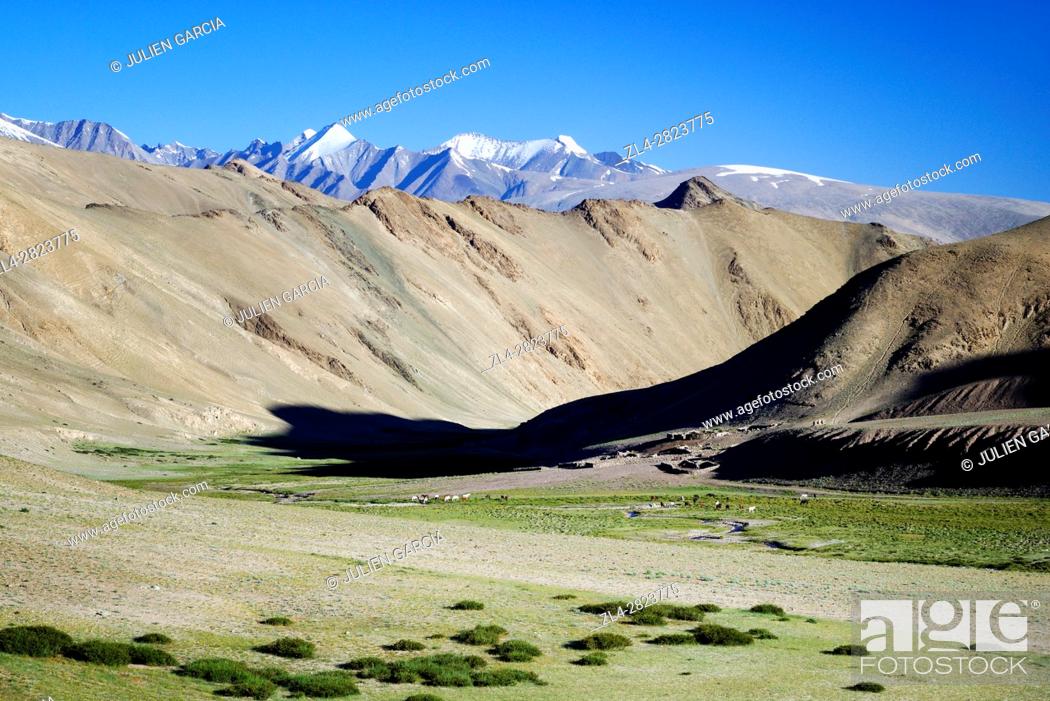 Stock Photo: India, Jammu and Kashmir State, Himalaya, Ladakh, high-altitude plateau of Changthang (Changtang), Rumtse to Tso Moriri trek, Kyamar valley near Rumtse.