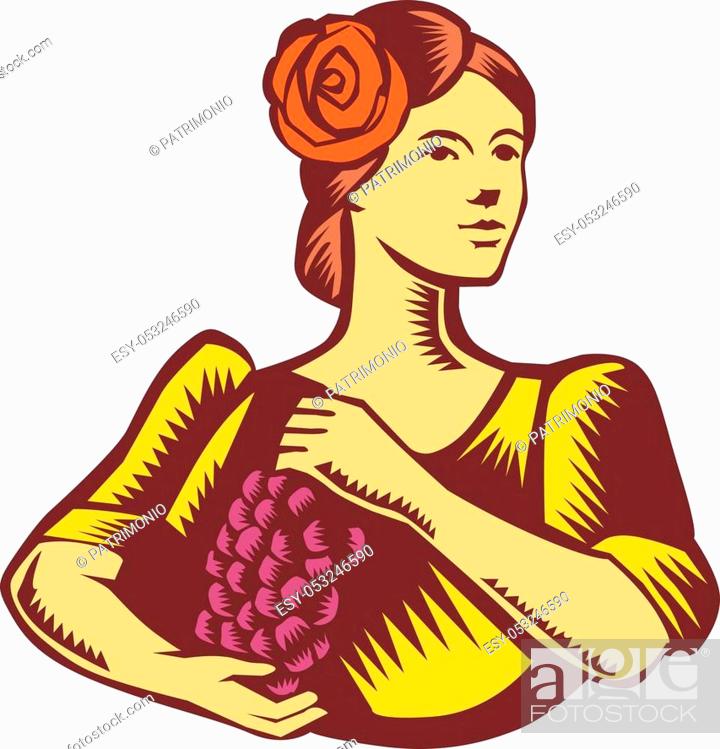 Stock Vector: Illustration of a senorita spanish lady looking to the side holding grapes viewed from front set on isolated white background done in retro woodcut style.
