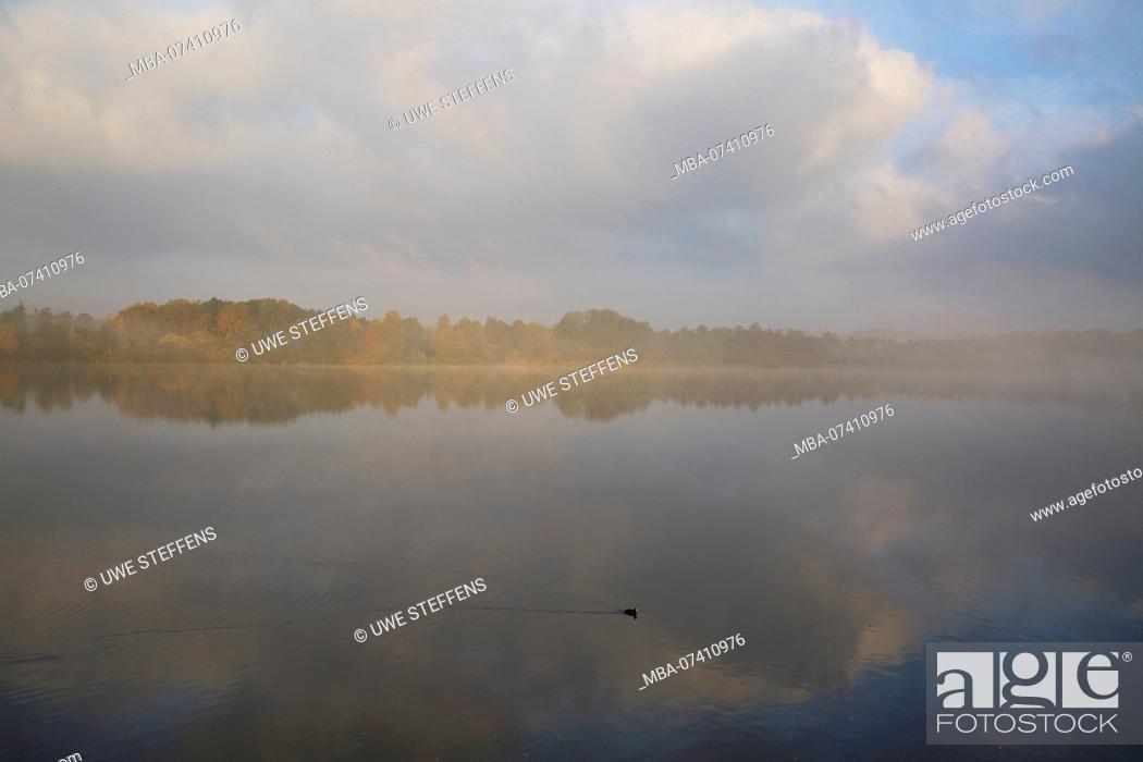 Stock Photo: Misty autumn morning over the Great Eutin lake.