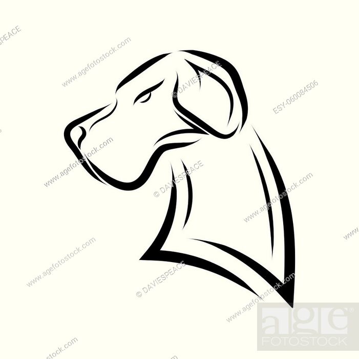 Black and white line art of Great Dane dog head. Good use for symbol,  mascot, icon, avatar, tattoo, Stock Vector, Vector And Low Budget Royalty  Free Image. Pic. ESY-060084506 | agefotostock