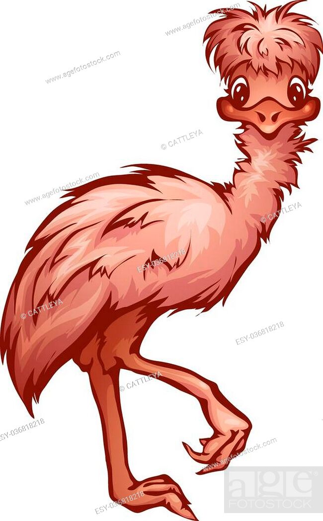 Vector illustration of cartoon cute emu on transparent background, Stock  Vector, Vector And Low Budget Royalty Free Image. Pic. ESY-036818218 |  agefotostock