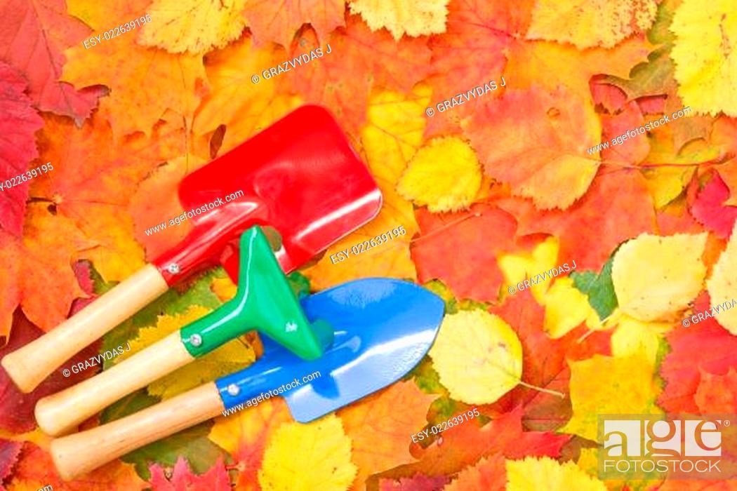 Stock Photo: Garden tools and autumn leaves.