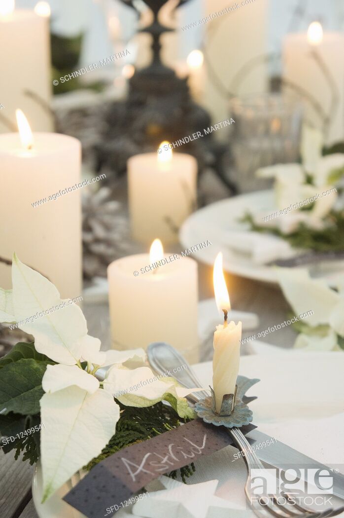 Stock Photo: A Christmas table laid with white poinsettias, candles and Christmas tree sprigs on cutlery with name labels.