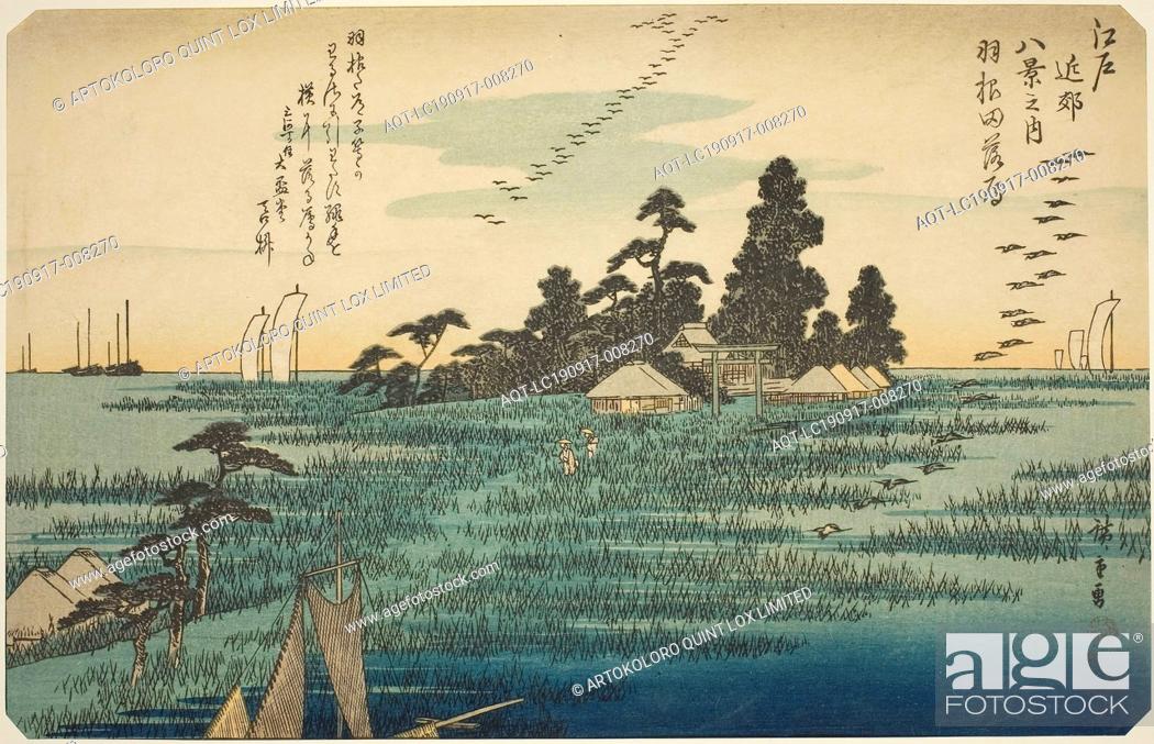 Stock Photo: Descending Geese at Haneda (Haneda no rakugan), from the series Eight Views in the Environs of Edo (Edo kinko hakkei no uchi), c.