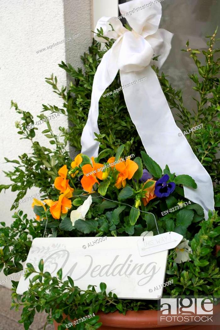 Stock Photo: nette Dekoration mit Pflanzen und Blumen am Hochzeitstag.