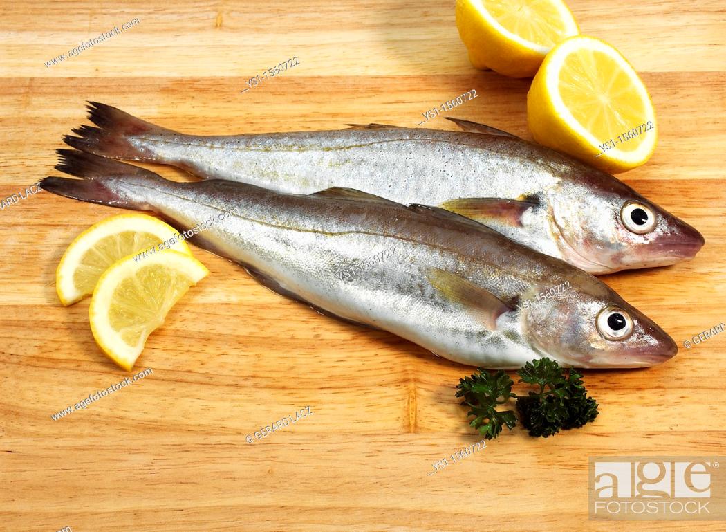 Stock Photo: Fresh Whiting, merlangius merlangus, Fishes with Lemon and Parsley.