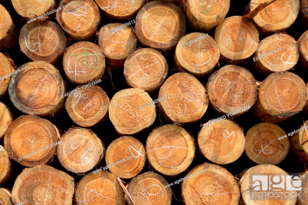 Stock Photo: Stack of wood logs background.