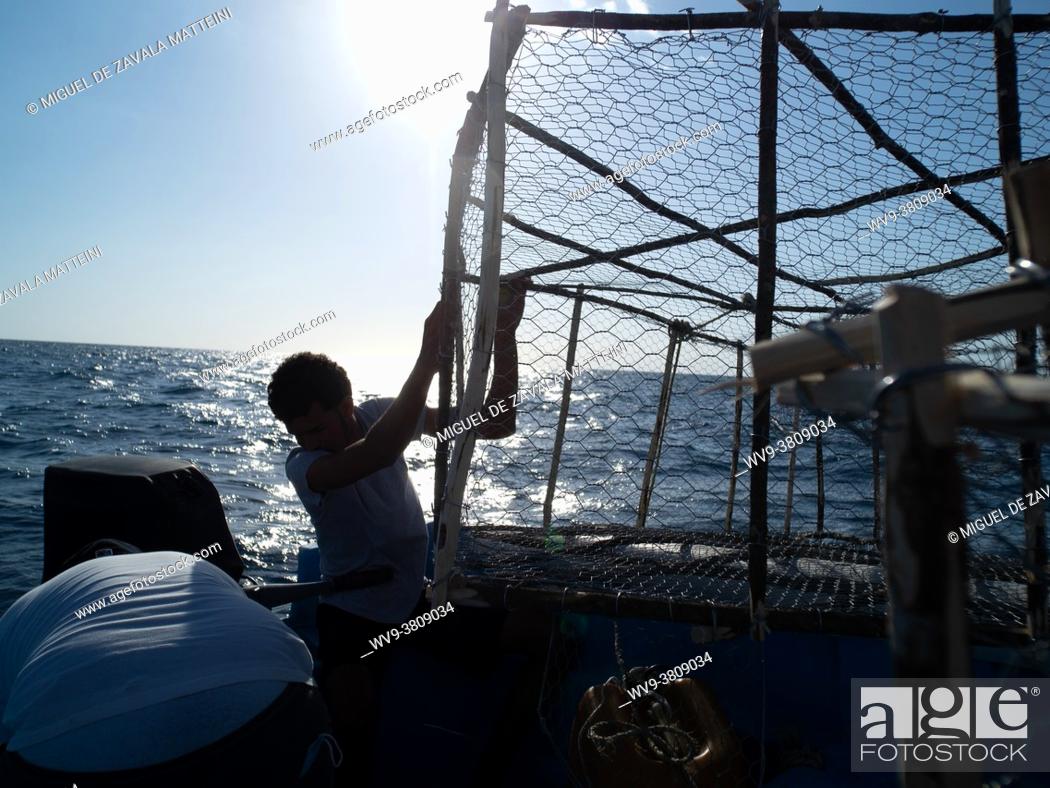 Stock Photo: fisherman picking up a cage.