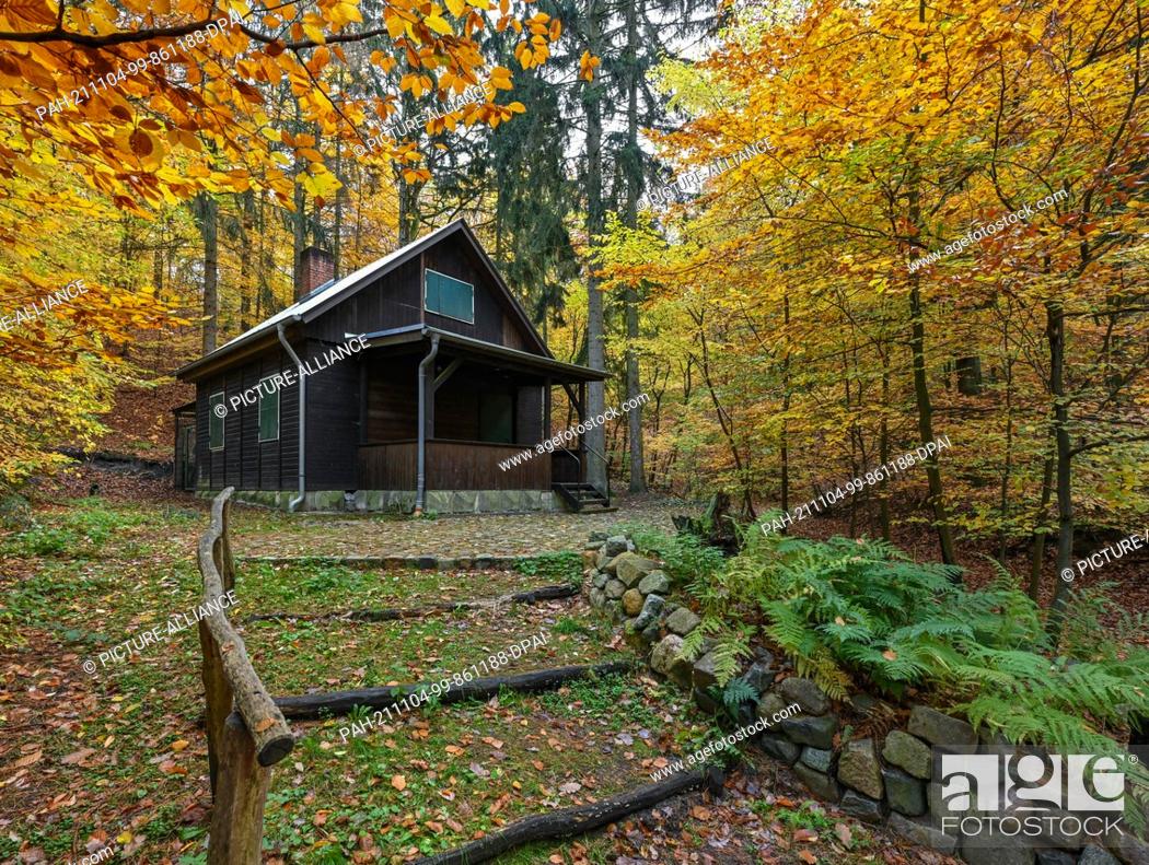 Stock Photo: 03 November 2021, Brandenburg, Rauen: A small hut from the ski club stands near the old ski jump in the autumnal forest in the Rauen mountains.