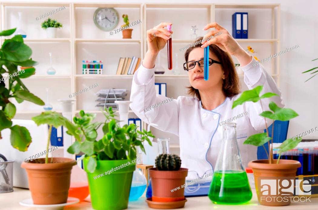 Stock Photo: Old female biotechnology chemist working in the lab.