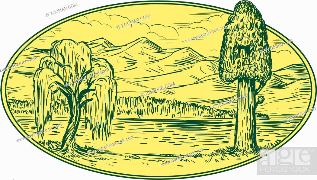 Stock Photo: Drawing sketch style illustration of a willow and sequoia tree with lake and mountains in the background set inside oval shape.