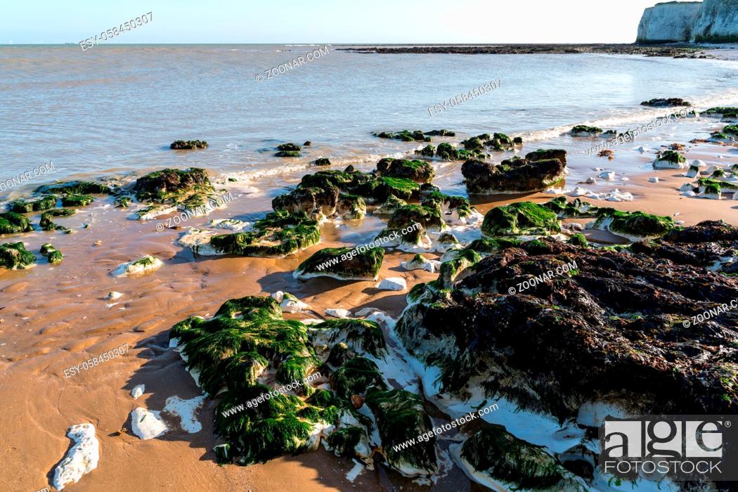 Stock Photo: Chalk rocks exposed at low tide in Botany Bay near Broadstairs in Kent.