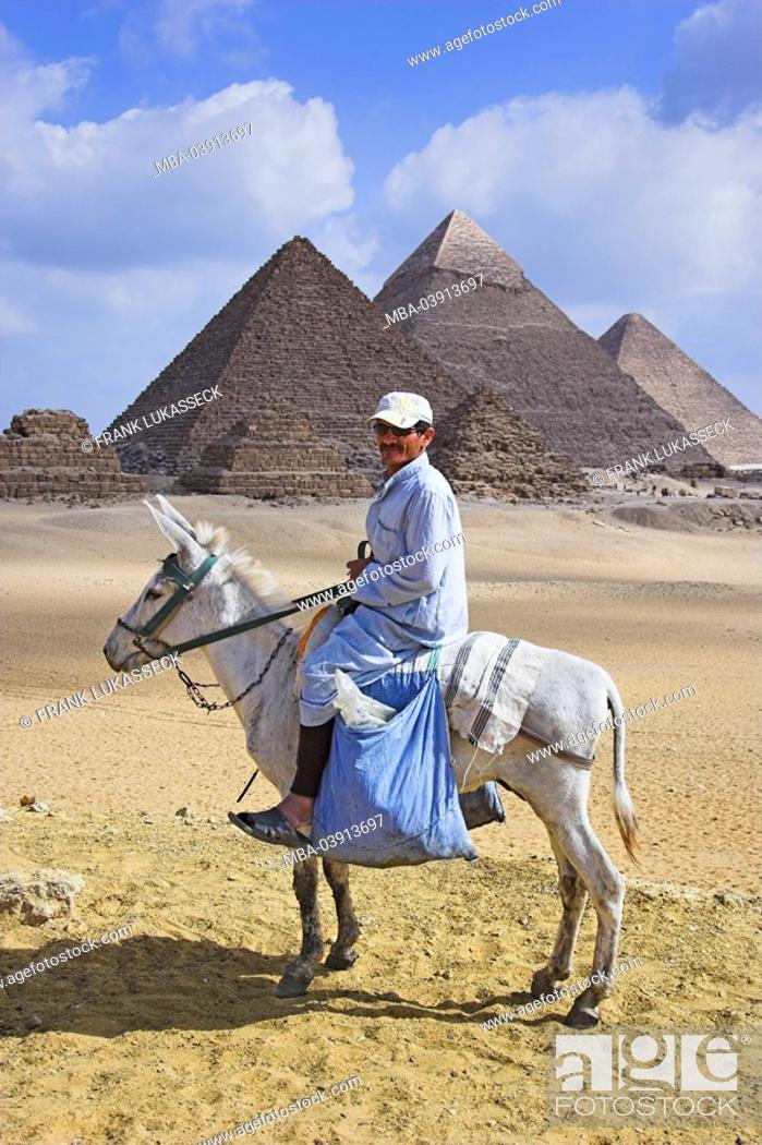 Stock Photo: Egypt, Cairo, Giseh, pyramids, donkey-riding.