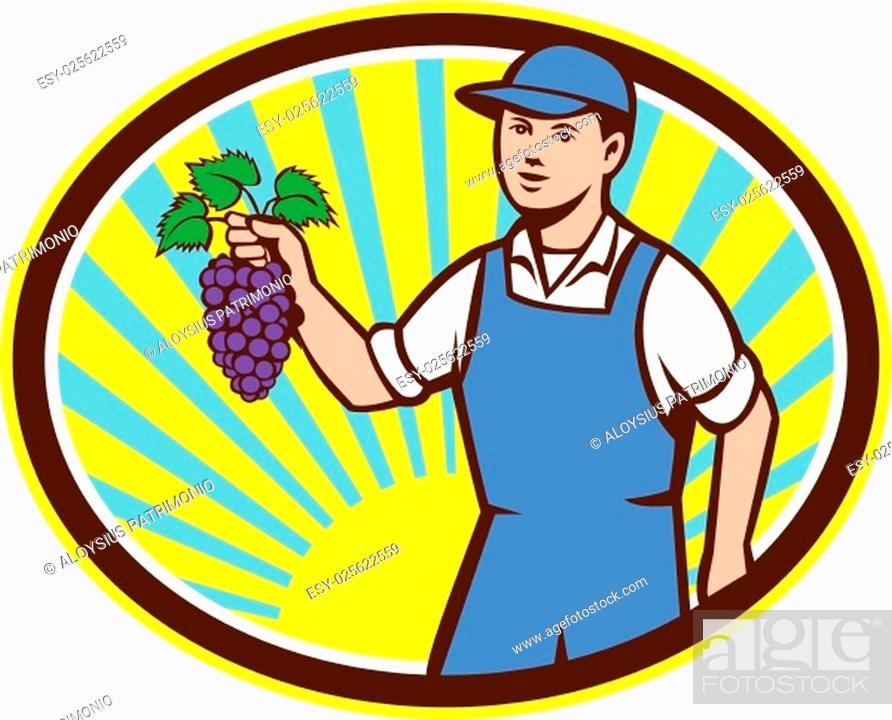 Stock Vector: Illustration of an organic farmer boy wearing hat holding grapes viewed from the front set inside oval shape with sunburst in the background done in retro style.