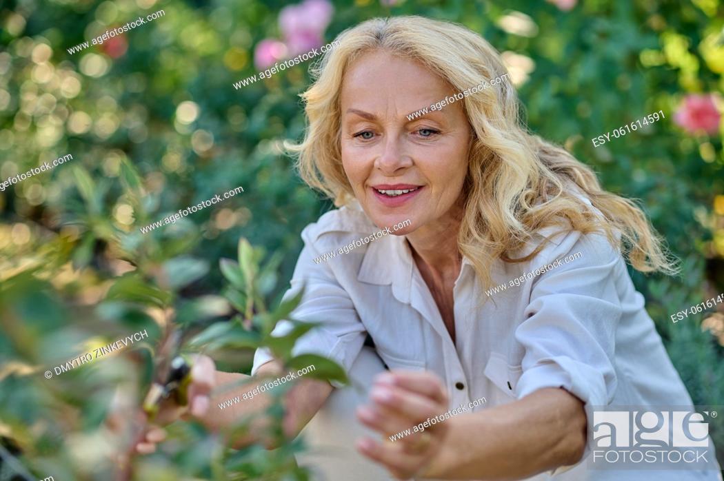 Stock Photo: Care. Smiling inspired woman looking at leaves touching crouching near plant in her garden on fine day.