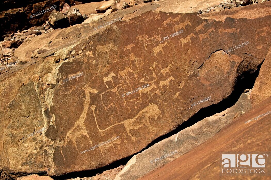 Stock Photo: Twyfelfontein rock carvings of bushmen, Damaraland, Namibia. - Damaraland, NAMIBIA, 31/01/2008.