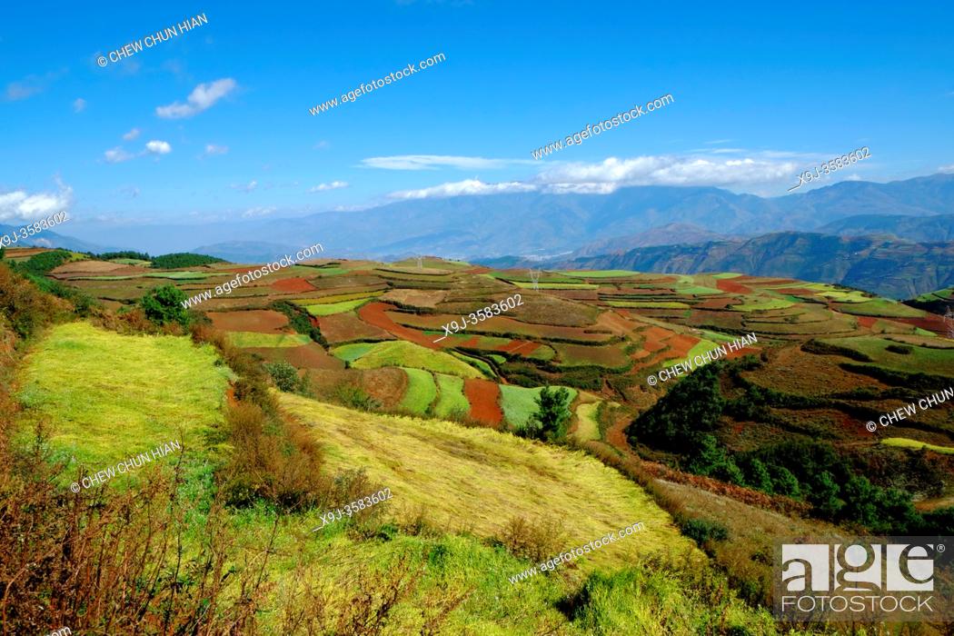 Stock Photo: Terrace cultivation, Red lands, Dongchuan District, Kunming municipality, Yunnan Province, China.