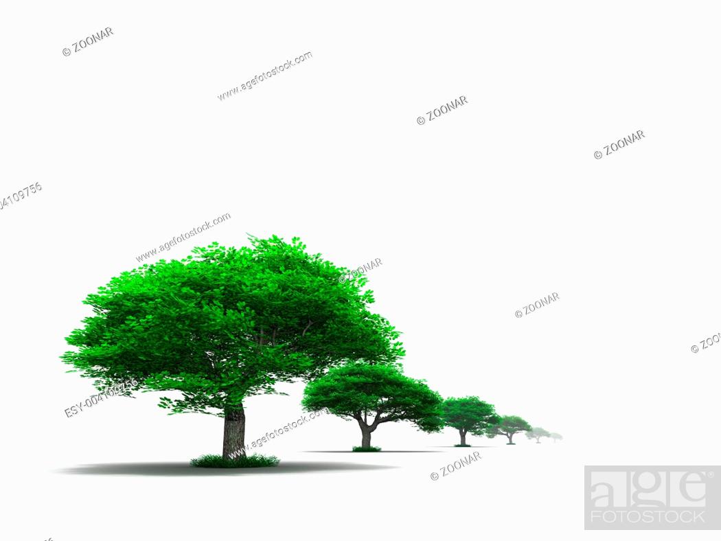 Photo de stock: row of young green trees.