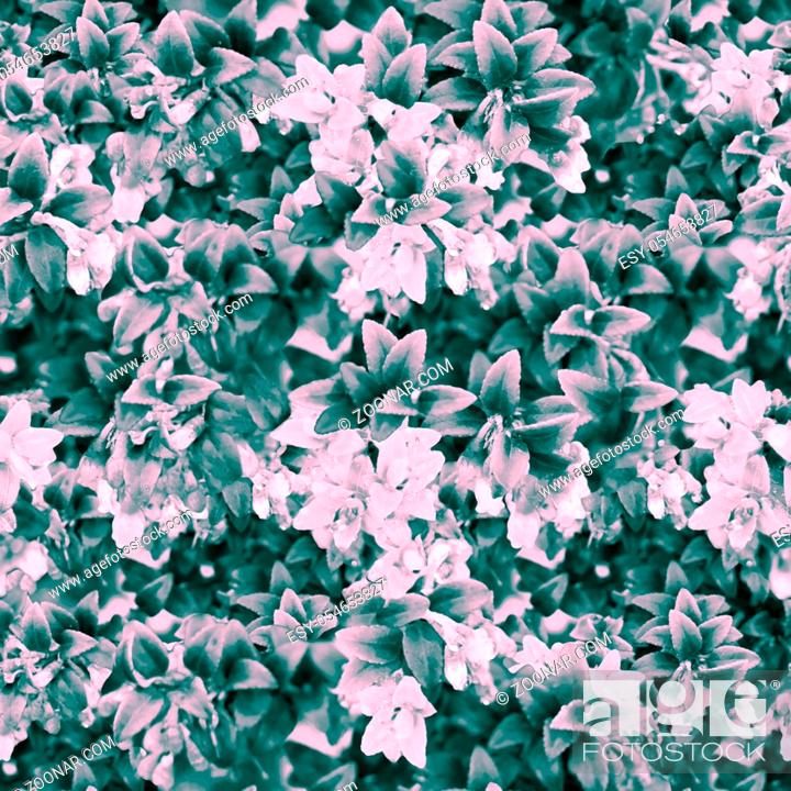 Stock Photo: Digital photo collage and manipulation technique nature floral collage motif seamless pattern design in pale pink and turquoise tones.