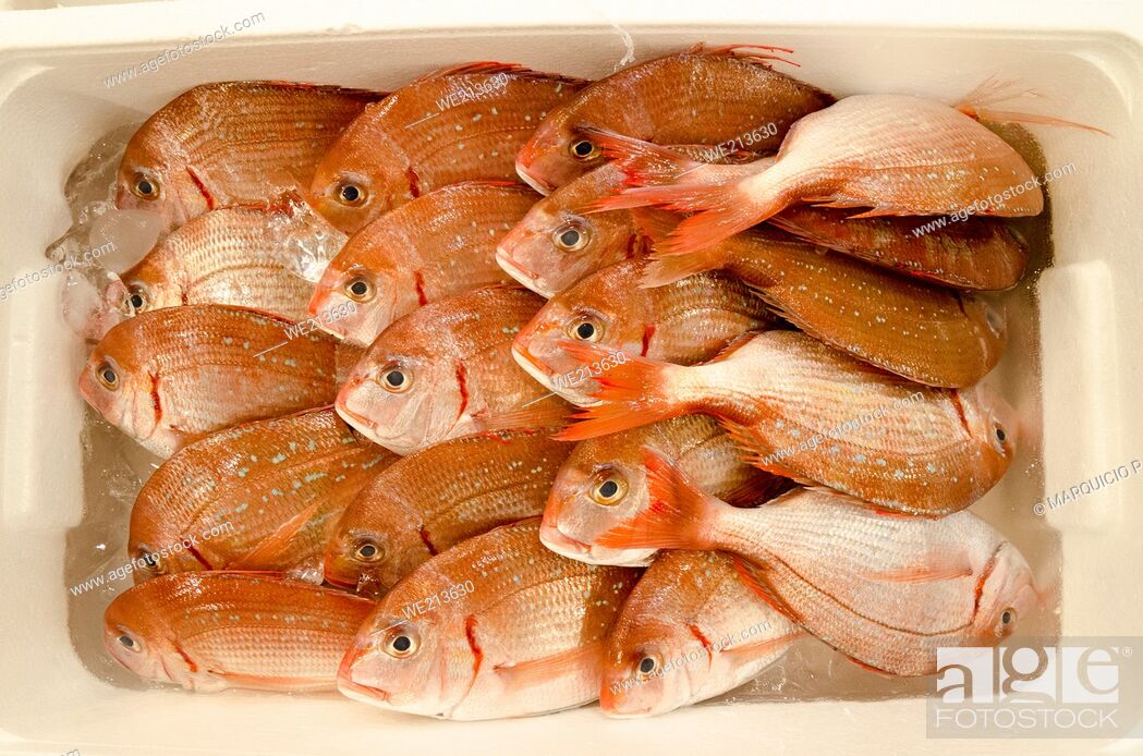 Stock Photo: Prepared box of fresh red snapper to be sold at Tsukiji Market in Tokyo, Japan.