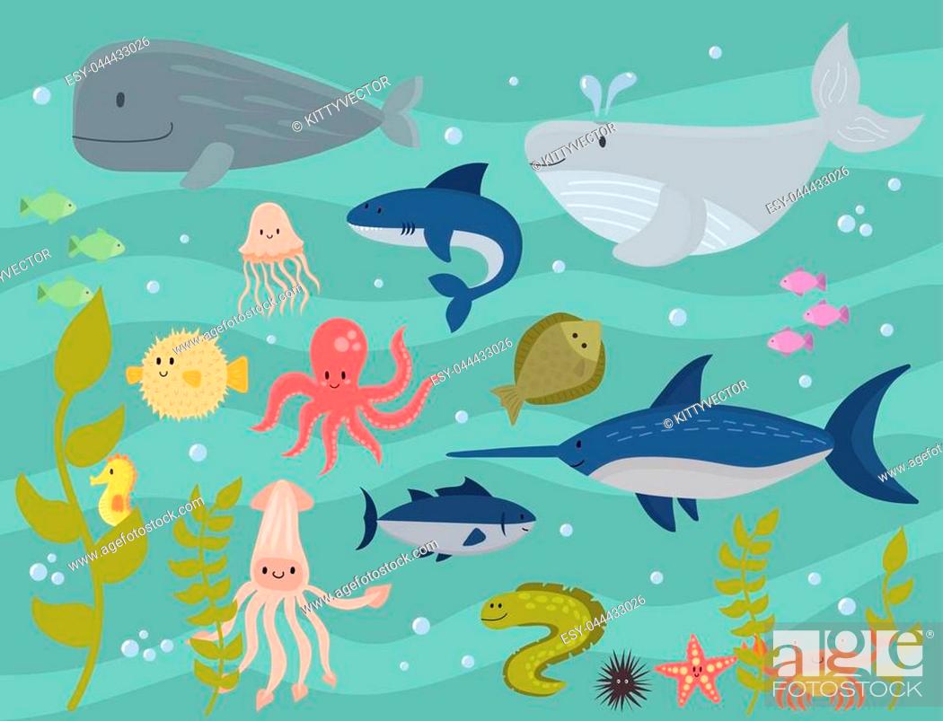 Sea animals vector creatures characters cartoon ocean wildlife marine  underwater aquarium life water..., Stock Vector, Vector And Low Budget  Royalty Free Image. Pic. ESY-044433026 | agefotostock