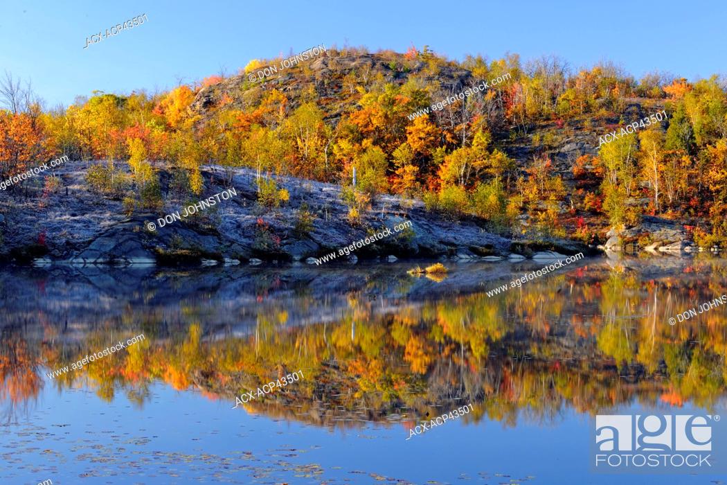 Stock Photo: Colourful autumn reflections in a beaver pond, Greater Sudbury, Ontario, Canada.