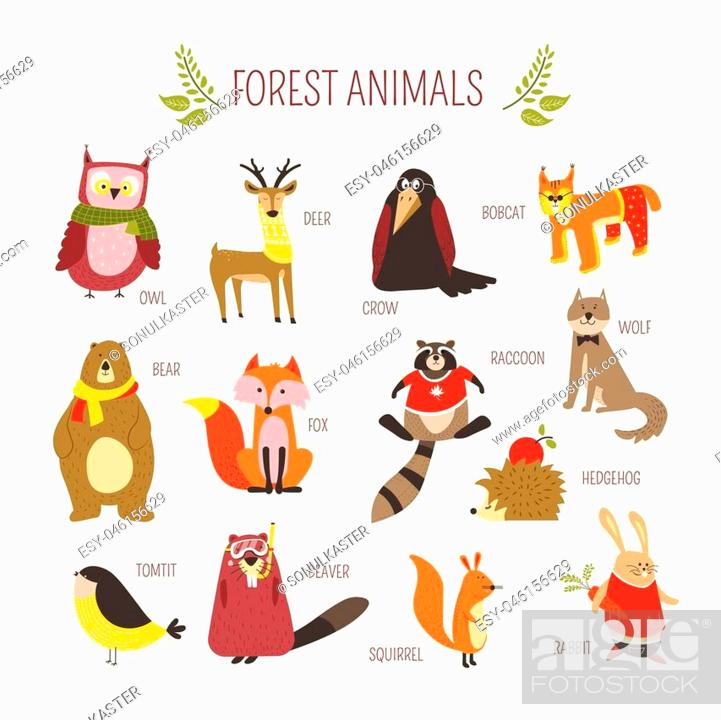 Cartoon forest animals and birds for kids design. Vector funny zoo of owl,  Stock Vector, Vector And Low Budget Royalty Free Image. Pic. ESY-046156629  | agefotostock