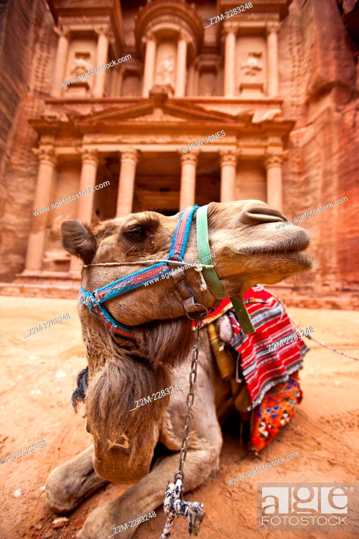 Stock Photo: Camel resting outside the Treasury (Al-Khazneh), Petra.