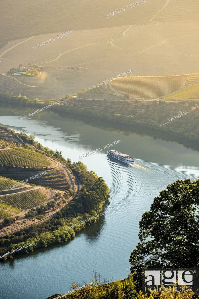 Stock Photo: Douro valley is one of the most important and historic vineyards in Europe.