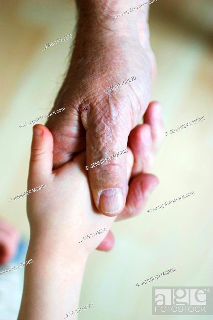 Stock Photo: A young child shakes his grandfather's hand.