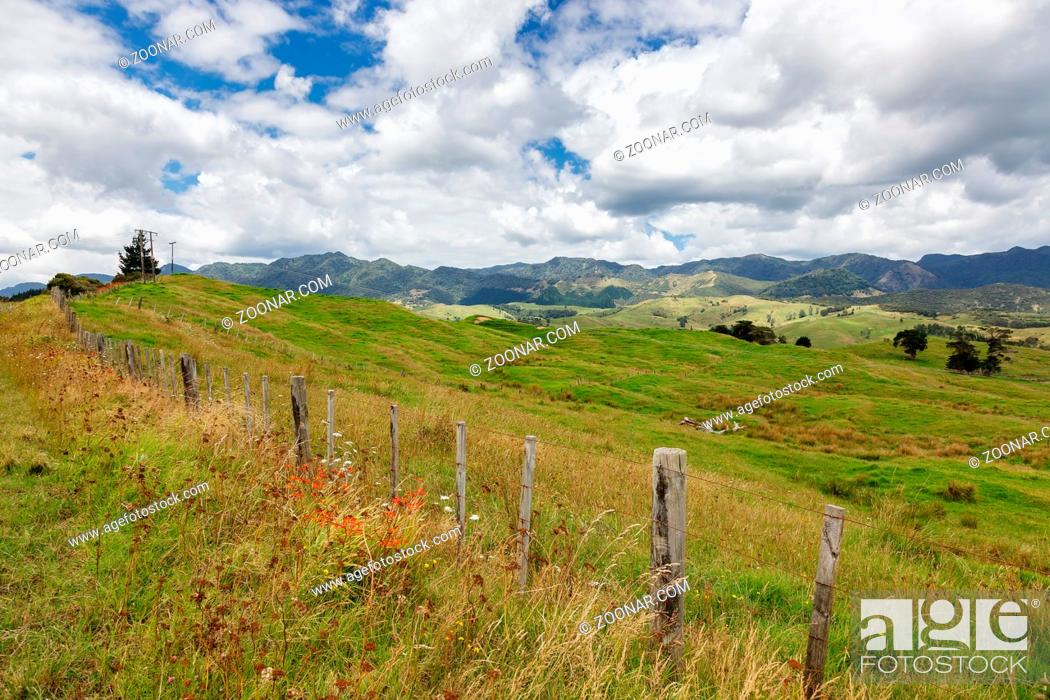 Stock Photo: Verdant undulating countryside of the North Island in New Zealand.