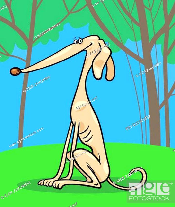 greyhound dog cartoon illustration, Stock Photo, Picture And Low Budget  Royalty Free Image. Pic. ESY-022341857 | agefotostock