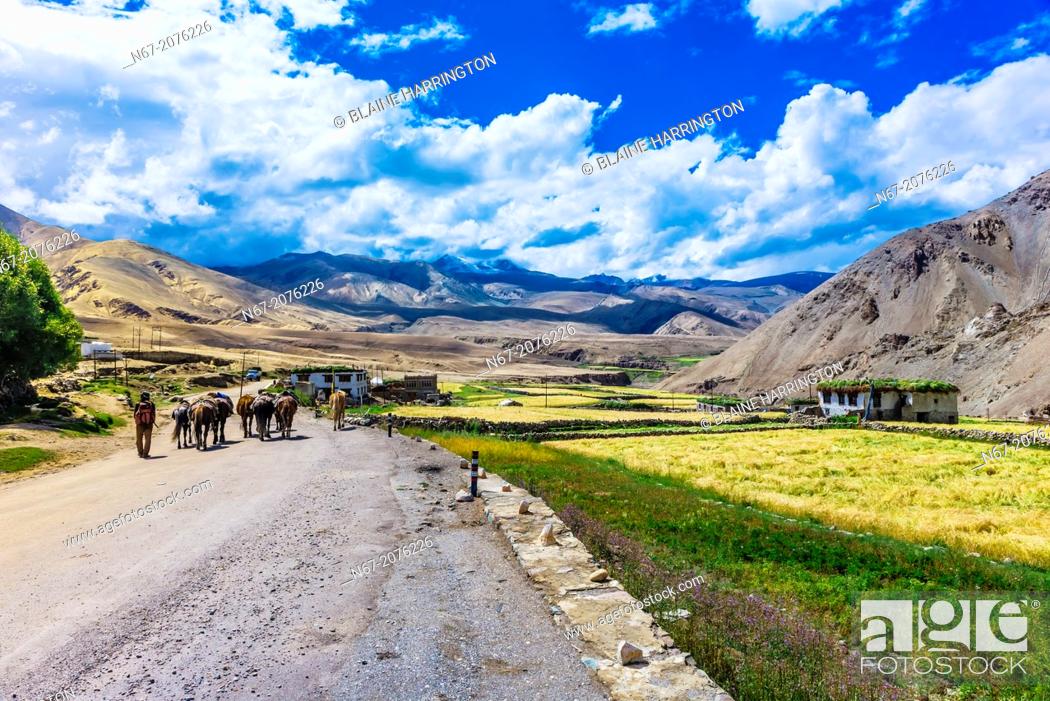 Stock Photo: Rumtse, a village in the Himalayas along the Leh-Manali Highway, Ladakh; Jammu and Kashmir state, India.