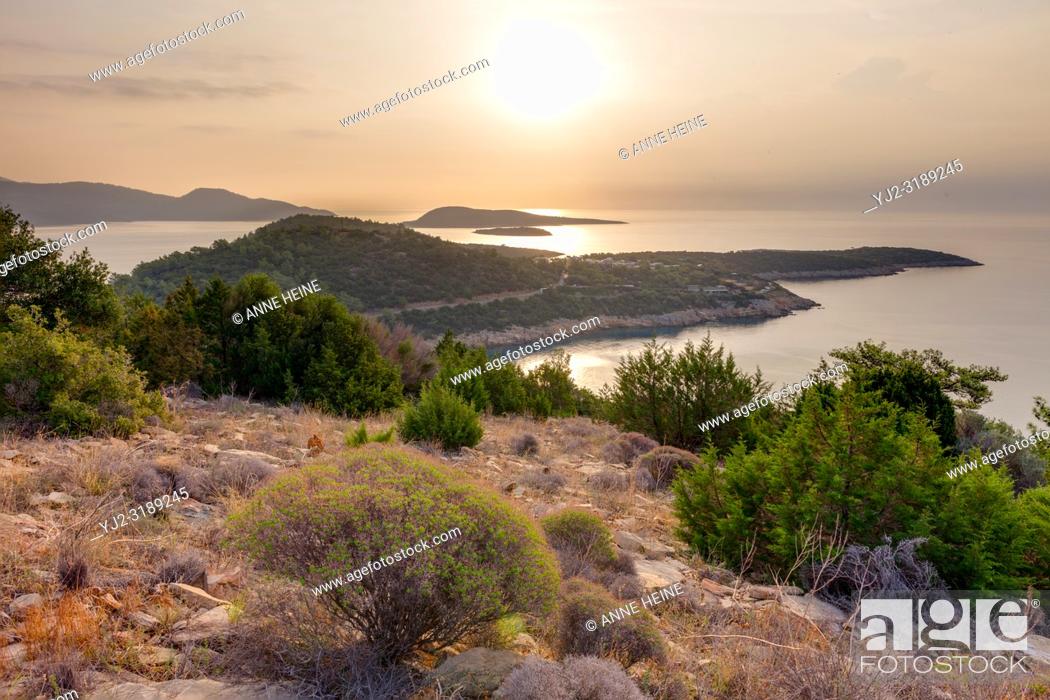 Stock Photo: Sunrise over Turkish Riviera with thorny shrub, islands and peninsula. 20km south of Bodrum, Turkey.