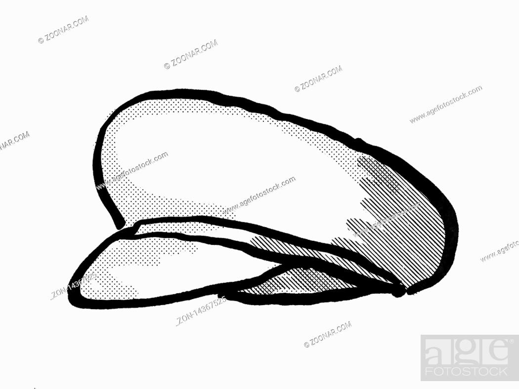 Retro cartoon style drawing of a cheesecutter, flat cap, scally cap, Stock  Photo, Picture And Rights Managed Image. Pic. ZON-14367525 | agefotostock