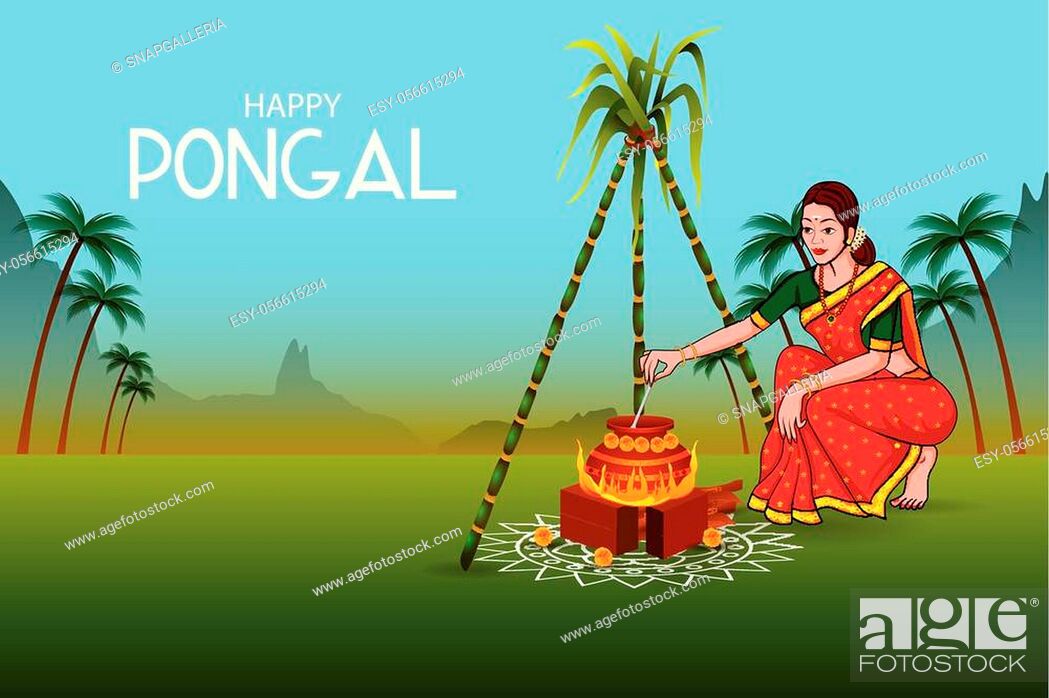 easy to edit vector illustration of Happy Pongal festival of Tamil Nadu  India background, Stock Vector, Vector And Low Budget Royalty Free Image.  Pic. ESY-056615294 | agefotostock