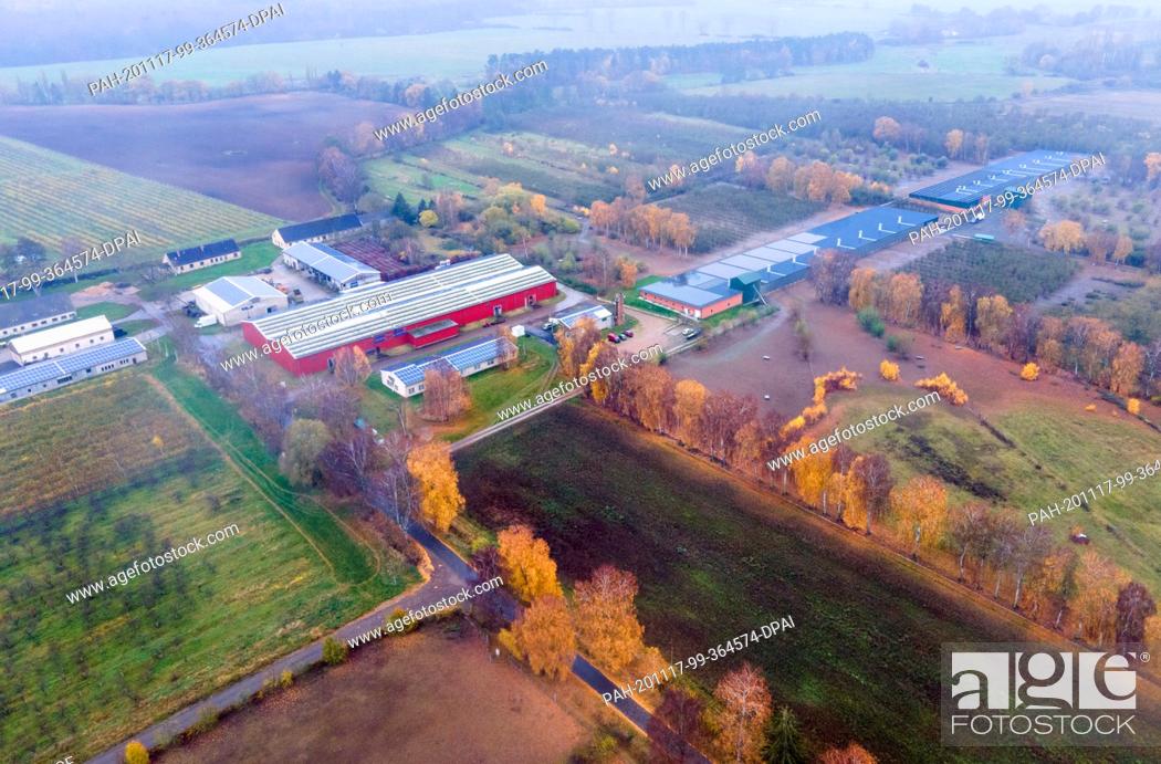 Stock Photo: 17 November 2020, Mecklenburg-Western Pomerania, Gnoien: In the extensive grounds of Eschenhörn Manor, a member of the Fürstenhof producer association.