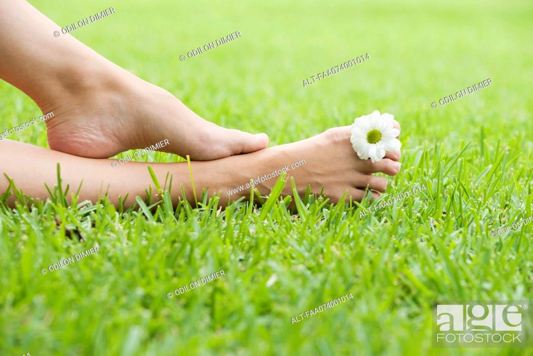 Stock Photo: Holding flower between toes.
